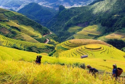 Sapa tour 3 days 2 nights by Bus (1 night in Ta Van village, 1 night in hotel)